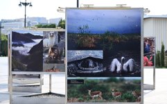 Heydər Əliyev Fondunun vitse-prezidenti Leyla Əliyeva Azərbaycanda təbiətin mühafizəsinin 100 illiyinə həsr olunmuş fotosərginin açılışında iştirak edib (FOTO)