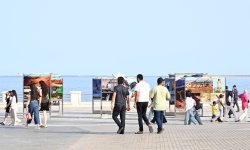 Heydər Əliyev Fondunun vitse-prezidenti Leyla Əliyeva Azərbaycanda təbiətin mühafizəsinin 100 illiyinə həsr olunmuş fotosərginin açılışında iştirak edib (FOTO)