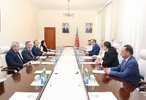 Səhiyyə nazirliyində Pfizer şirkətinin nümayəndə heyəti ilə görüş keçirilib (FOTO)