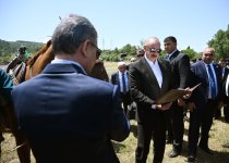 Prezident İlham Əliyev Qurbanqulu Berdiməhəmmədova Cıdır düzündə “Dostluq” adlı Qarabağ atı hədiyyə edib (FOTO)