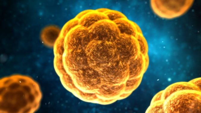 Hepatit C müasir dərmanlarla tam müalicə oluna bilir - Səhiyyə Nazirliyinin eksperti