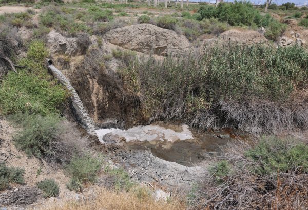 "Azərsun Holdinq" MMC-yə məxsus müəssisə ilə bağlı inzibati araşdırma başladı (FOTO)