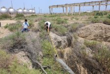 "Azərsun Holdinq" MMC-yə məxsus müəssisə ilə bağlı inzibati araşdırma başladı (FOTO)
