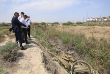 "Azərsun Holdinq" MMC-yə məxsus müəssisə ilə bağlı inzibati araşdırma başladı (FOTO)