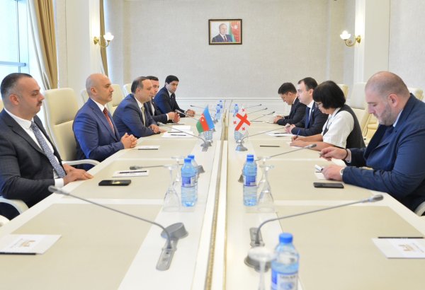 Azərbaycanla Gürcüstan arasında dostluq və müttəfiqlik münasibətləri müzakirə edilib (FOTO)