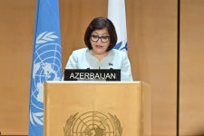 Sahibə Qafarova Parlament Sədrlərinin VI Dünya Konfransında çıxış edib (FOTO)