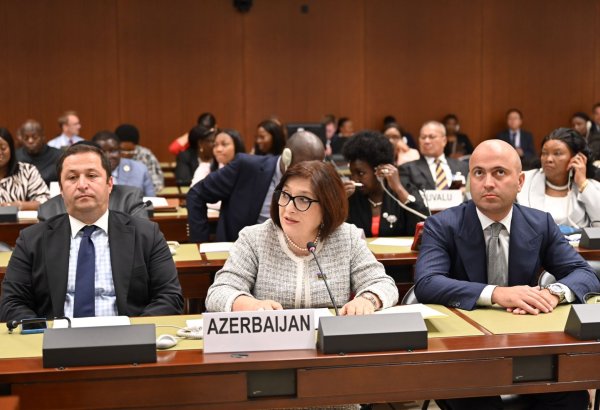 Qarabağ və Şərqi Zəngəzurun dirçəldilməsi DİM-lərin uğurla reallaşdırılmasına mühüm töhfə verir – Sahibə Qafarova