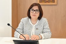 Sahibə Qafarova Cenevrədə bir sıra ölkələrin parlament sədrləri ilə görüşlər keçirib (FOTO)