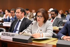 Sahibə Qafarova Parlament Sədrlərinin VI Dünya Konfransı çərçivəsində keçirilən panel müzakirəsində çıxış edib (FOTO)