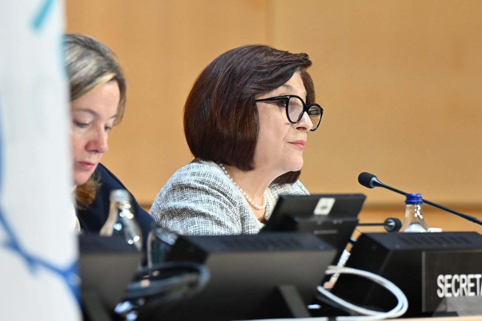 Sahibə Qafarova Parlament Sədrlərinin 6-cı Dünya Konfransının ikinci günündə ümumi müzakirələrə sədrlik edib (FOTO)