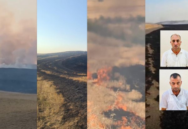 Şəkidə qəsdən yanğın törədən şəxslər həbs olunublar (VİDEO)