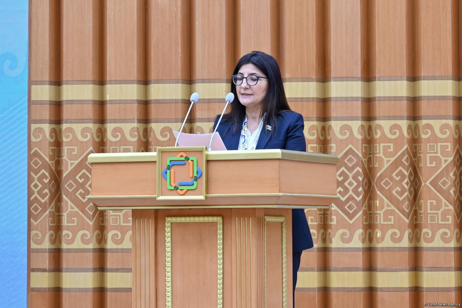 Sevil Mikayılova BMT-nin Avazadakı LLDC3 konfransında Parlamentlərarası İttifaq adından məruzə ilə çıxış edib (FOTO/VİDEO)