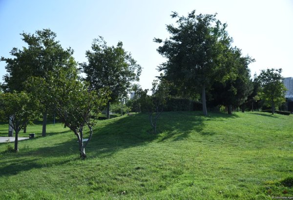 Sakinlər Mərkəzi Parkın gətirdiyi yeni üstünlüklərdən danışdılar (FOTO)