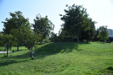 Sakinlər Mərkəzi Parkın gətirdiyi yeni üstünlüklərdən danışdılar (FOTO)