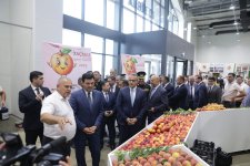 Xaçmazda “Aqrar Biznes” və “Şaftalı” festivalı keçirilib (FOTO)