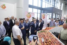 Xaçmazda “Aqrar Biznes” və “Şaftalı” festivalı keçirilib (FOTO)