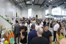 Xaçmazda “Aqrar Biznes” və “Şaftalı” festivalı keçirilib (FOTO)