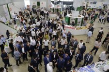 Xaçmazda “Aqrar Biznes” və “Şaftalı” festivalı keçirilib (FOTO)