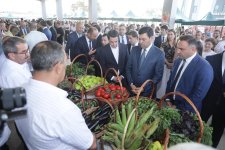 Xaçmazda “Aqrar Biznes” və “Şaftalı” festivalı keçirilib (FOTO)