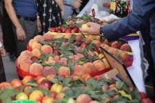 Xaçmazda “Aqrar Biznes” və “Şaftalı” festivalı keçirilib (FOTO)