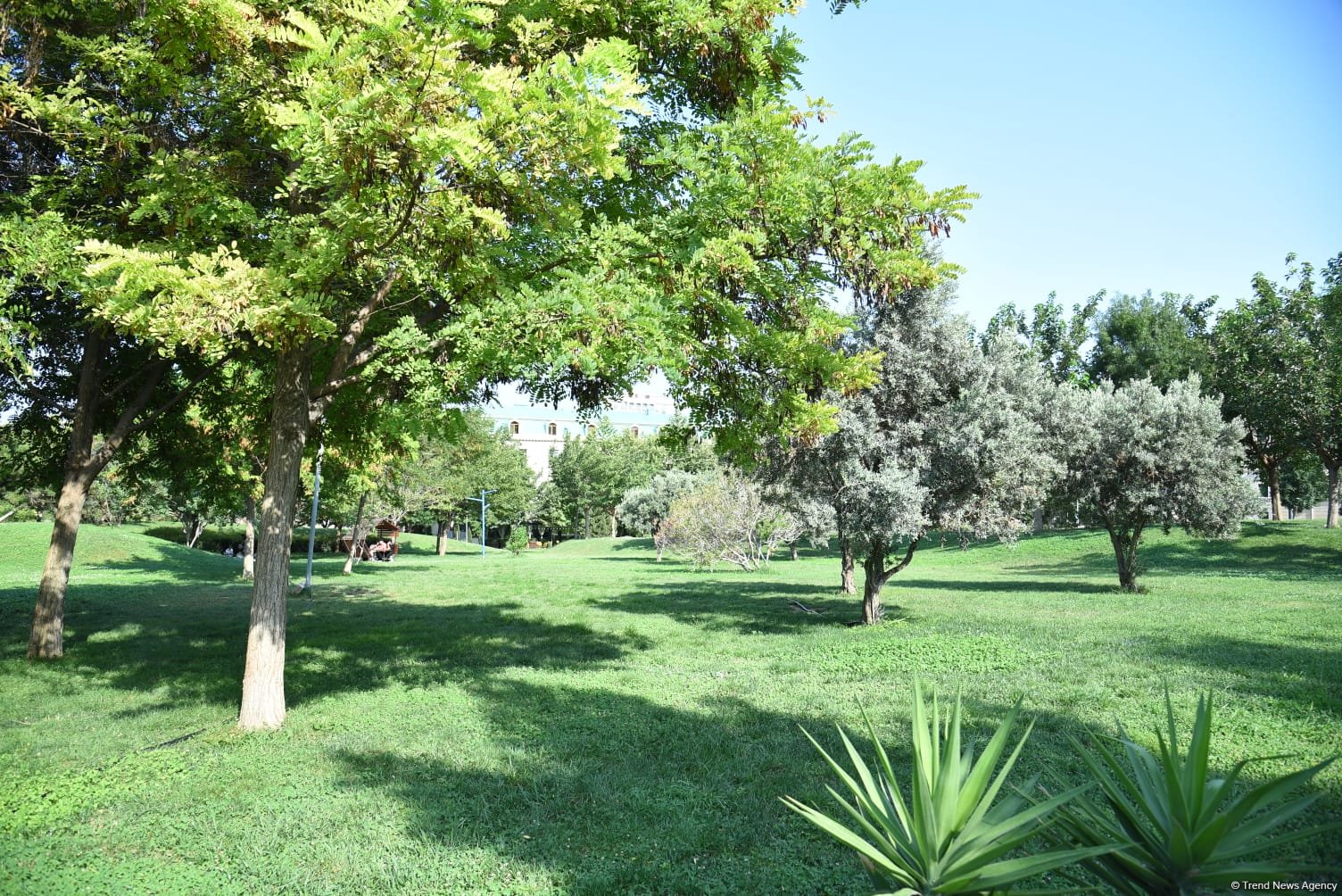 Sakinlər Mərkəzi Parkın gətirdiyi yeni üstünlüklərdən danışdılar (FOTO)