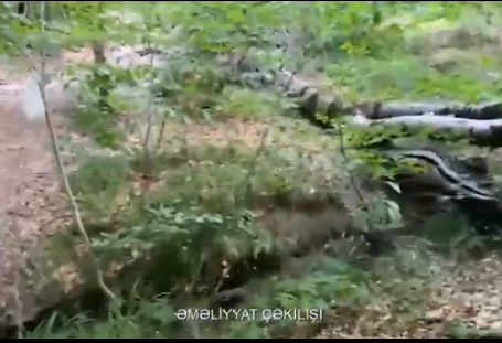 Şabranda itkin düşən şəxs tapılıb (VİDEO)