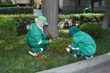Paytaxtın küçələri yenidən yuyulub, yaşıllıqlara qulluq göstərilib (FOTO)