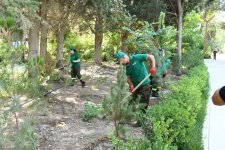Paytaxtın küçələri yenidən yuyulub, yaşıllıqlara qulluq göstərilib (FOTO)