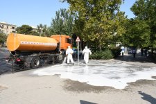Paytaxtın küçələri yenidən yuyulub, yaşıllıqlara qulluq göstərilib (FOTO)