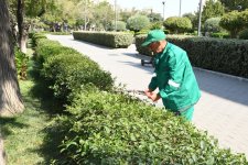 Paytaxtın küçələri yenidən yuyulub, yaşıllıqlara qulluq göstərilib (FOTO)