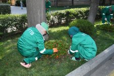 Paytaxtın küçələri yenidən yuyulub, yaşıllıqlara qulluq göstərilib (FOTO)
