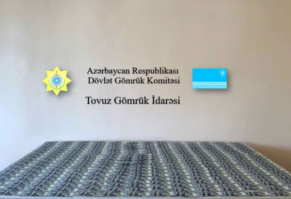 Xarici valyutanın gömrük nəzarətindən gizli şəkildə keçirilməsinin qarşısı alınıb