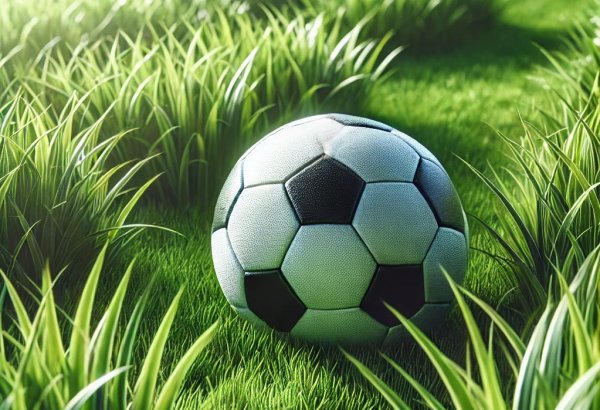 PFL ölkə çempionatları tarixinin bombardirlərinin siyahısını təqdim edib
