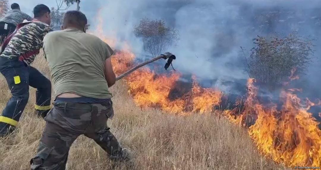 Ağdərədəki yanğının qarşısı alınıb (FOTO)