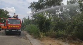 Qazaxda açıq ərazi yanır (FOTO/VİDEO)