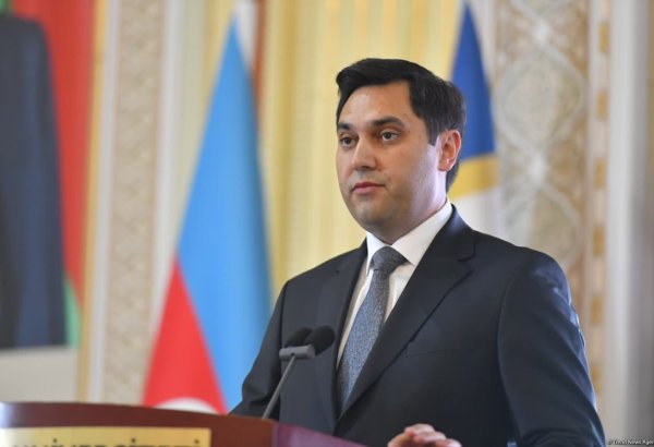 Azərbaycanda son illər təhsil müəssisələrində ərəb dilini öyrənənlərin sayı artıb - Səyavuş Qasımov