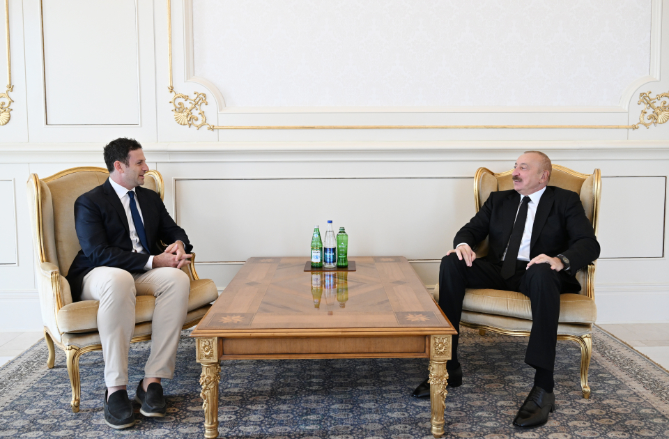 Prezident İlham Əliyev “The Goldman Sachs Group Inc.” şirkətinin qlobal məsələlər üzrə prezidentini qəbul edib (FOTO)