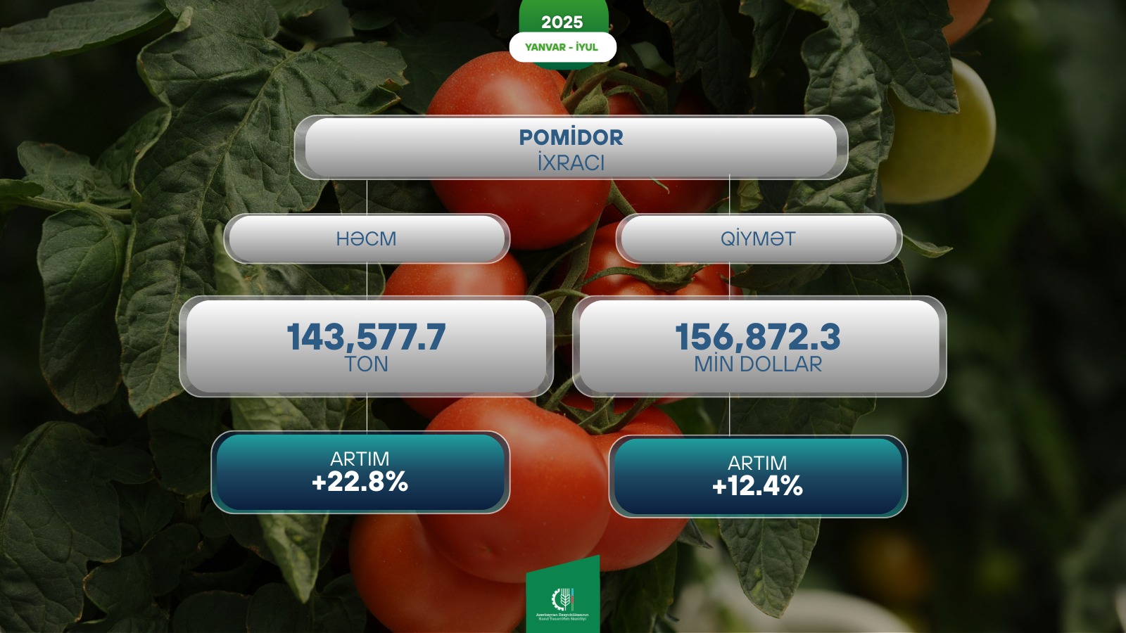 Azərbaycandan xarici bazarlara pomidor ixracı 22,8% artıb