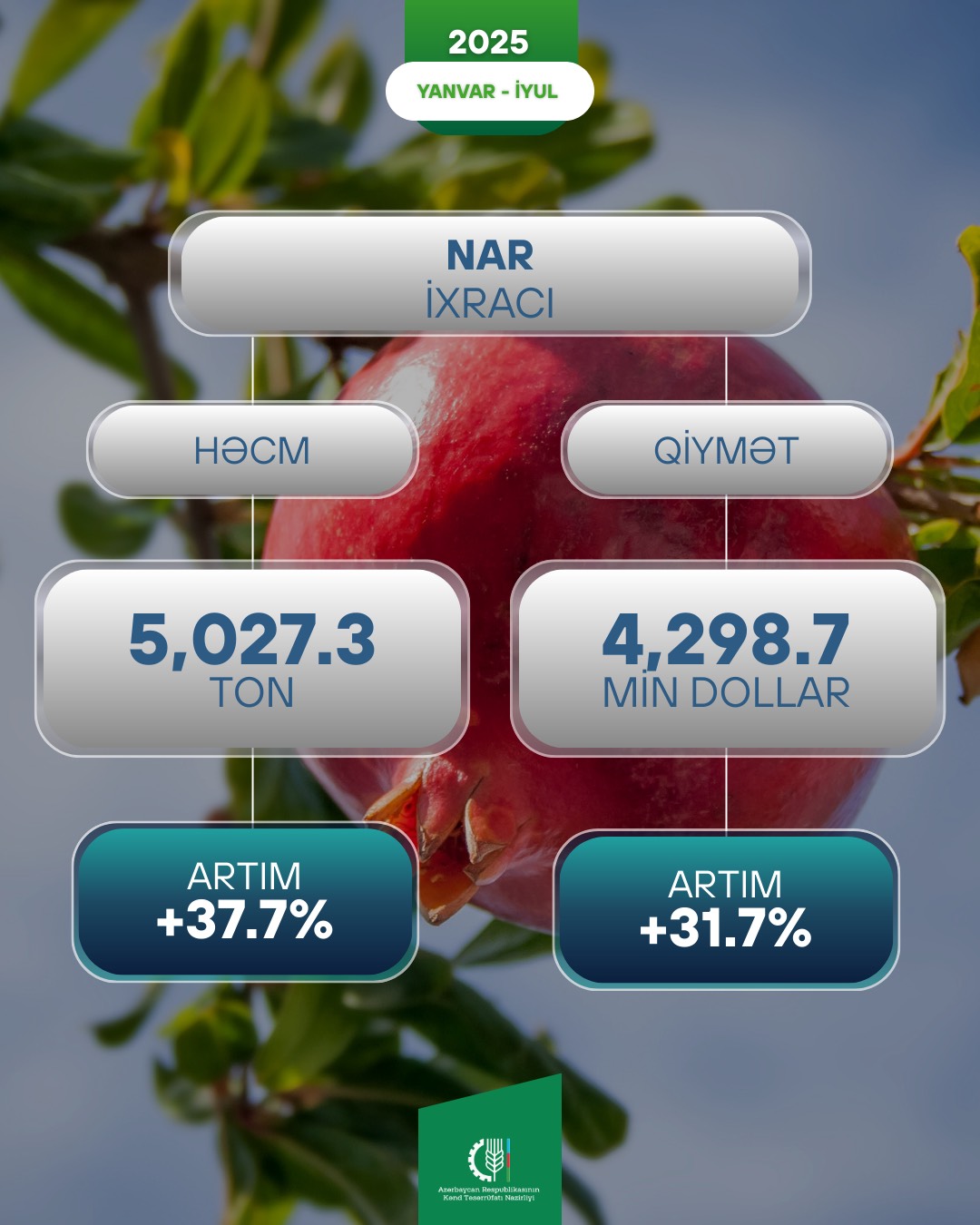 Azərbaycan xarici bazarlara nar ixracatı artıb