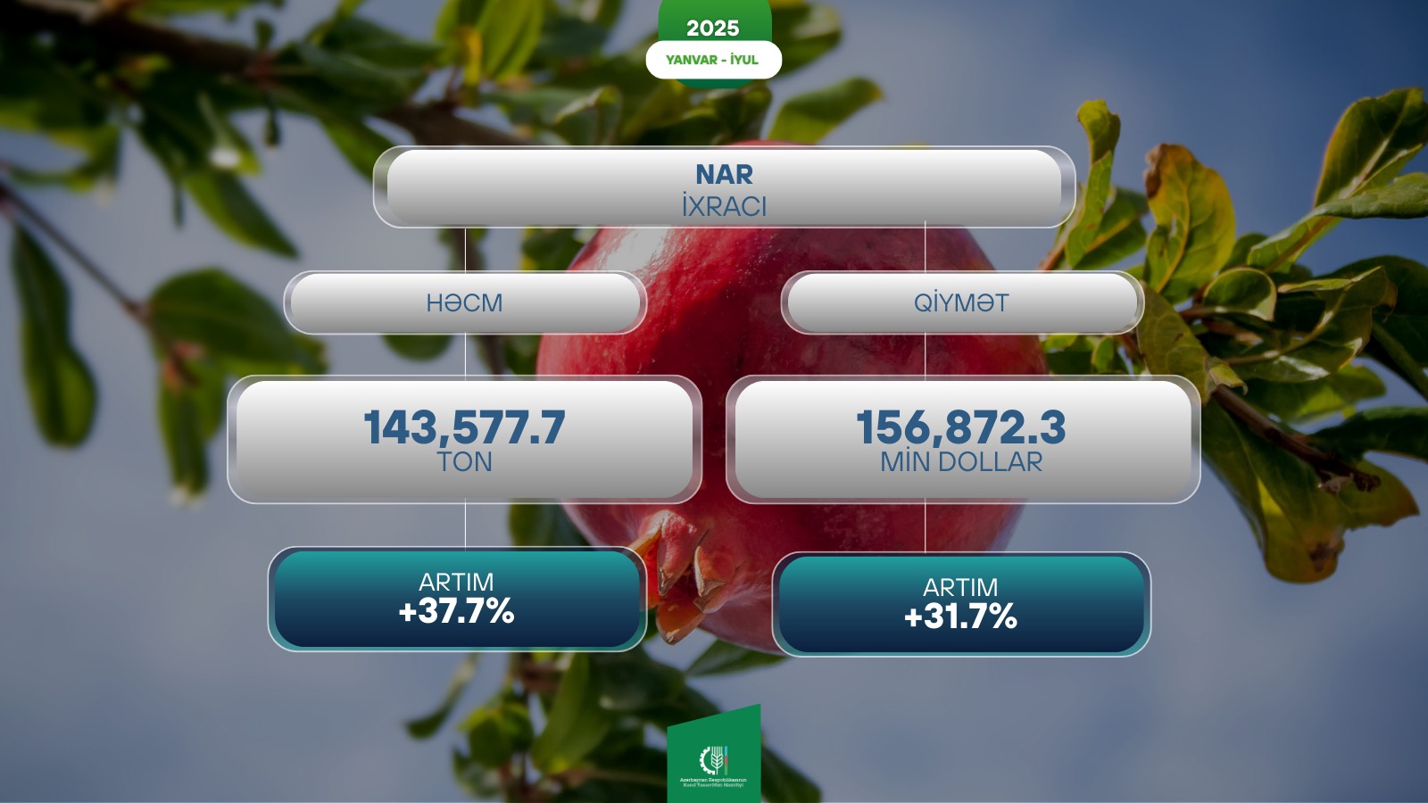 Azərbaycan xarici bazarlara nar ixracatı artıb