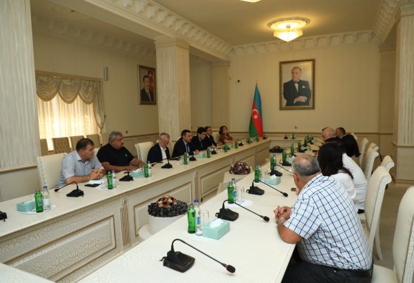 Gəncədə 500-dən çox quru və qəzalı ağac müəyyən olunub