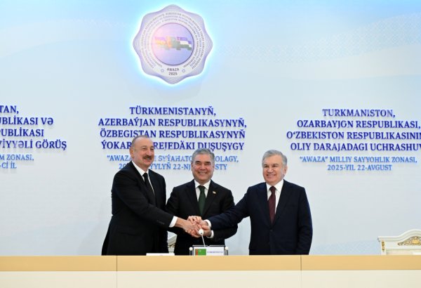 Qardaşlıqdan enerji və ticarətə: Üç dövlətin gələcəyə baxışı