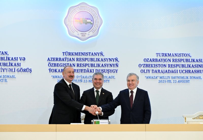 Qardaşlıqdan enerji və ticarətə: Üç dövlətin gələcəyə baxışı