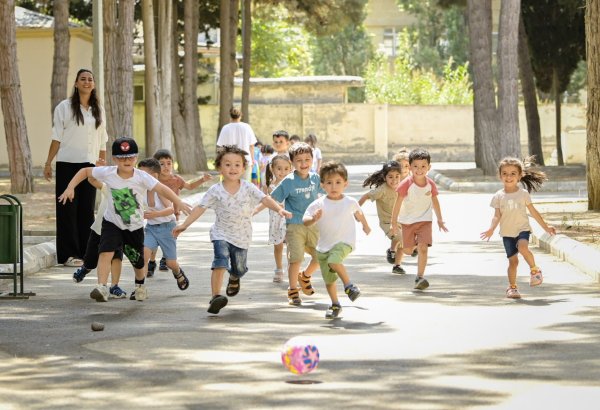 Bağçalarda yer çatışmazlığının həll yolunu necə tapaq?