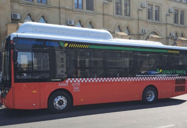 Paytaxtın bu ərazisində hərəkətdə olan avtobuslar yenilənir (FOTO)