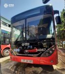 Paytaxtın bu ərazisində hərəkətdə olan avtobuslar yenilənir (FOTO)
