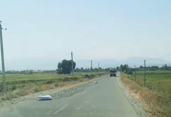 Tərtərdə yola günəbaxan tumları səpən şəxs məsuliyyətə cəlb edilib (FOTO)