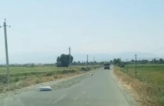 Tərtərdə yola günəbaxan tumları səpən şəxs məsuliyyətə cəlb edilib (FOTO)