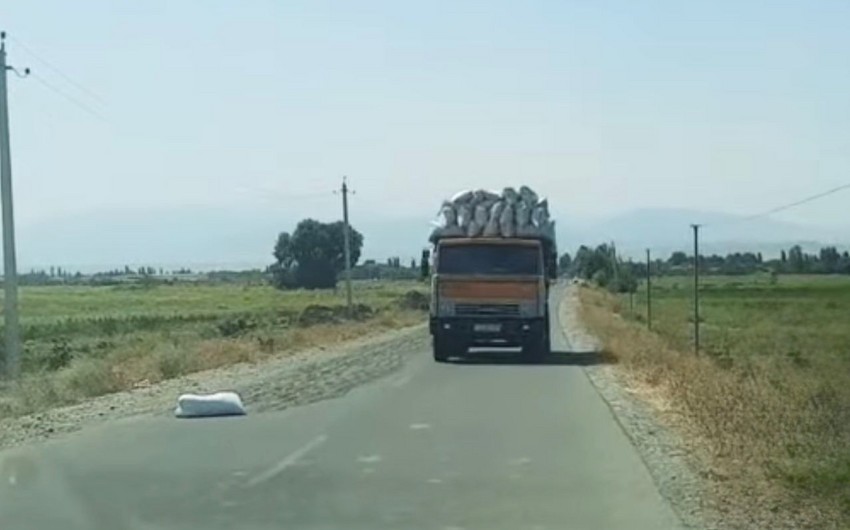 Tərtərdə yola günəbaxan tumları səpən şəxs məsuliyyətə cəlb edilib (FOTO)