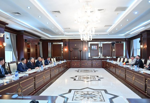 Azərbaycan-Rumıniya parlamentlərarası əlaqələri müzakirə edildi (FOTO)